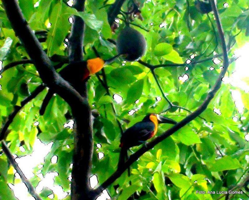 Hostal Rio Nature Hostel Río de Janeiro